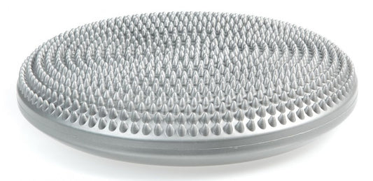 Professional Balance Disc