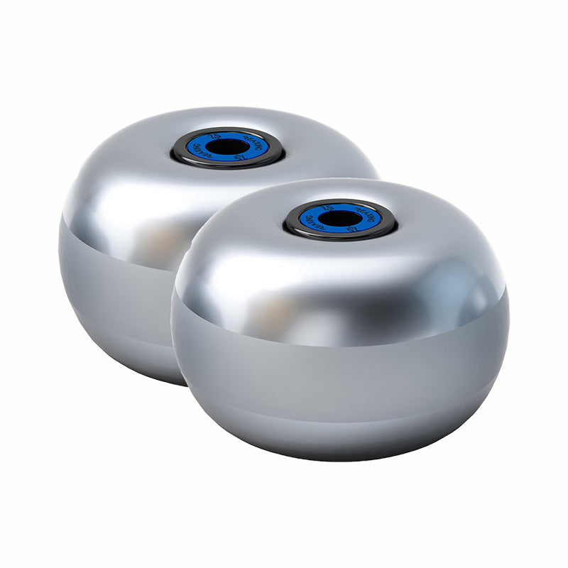 Neuromuscular Training Disc