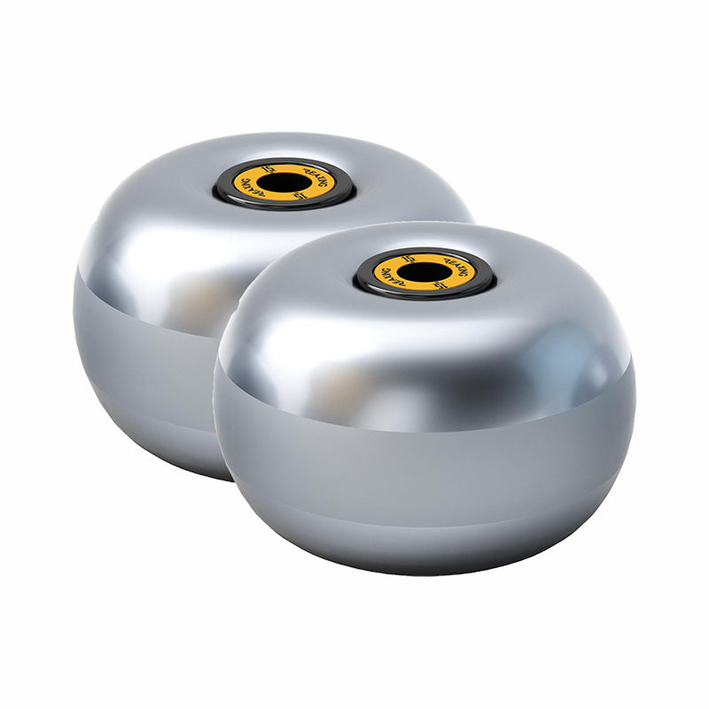 Neuromuscular Training Disc