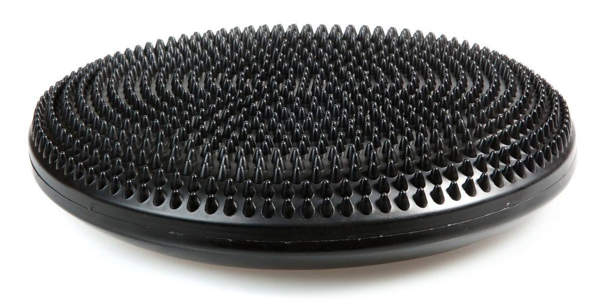 Professional Balance Disc